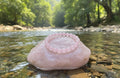Rose Quartz Bracelet